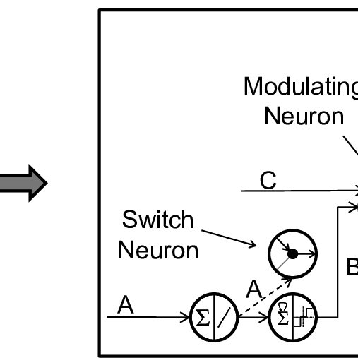 Netzwerk-Switch-Module